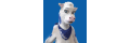 Lactaid_coupons