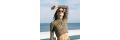 Brandy-melville_coupons