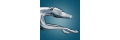 Greyhound_coupons