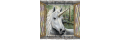 Walls-of-the-wild_coupons