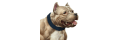 Bully-max_coupons