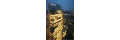 Philips_coupons