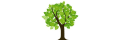 Fast-growing-trees_coupons
