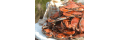 The-crab-place_coupons