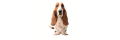 Hush-puppies_coupons
