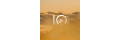 Ten-tree_coupons