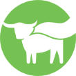 Beyond Meat coupons Beyond Meat coupons