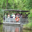 Jean Lafitte Swamp Tour coupons Jean Lafitte Swamp Tour coupons
