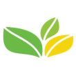 TheGreenOffice.com coupons TheGreenOffice.com coupons