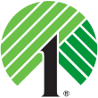 Dollar Tree coupons Dollar Tree coupons