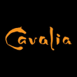 Cavalia coupons Cavalia coupons