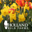 Holland Bulb Farms coupons Holland Bulb Farms coupons