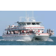 Orlando Princess & Canaveral Princess coupons Orlando Princess & Canaveral Princess coupons