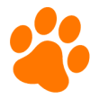 Coupaw coupons Coupaw coupons