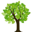 Fast Growing Trees coupons Fast Growing Trees coupons