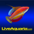 Liveaquaria.com coupons Liveaquaria.com coupons