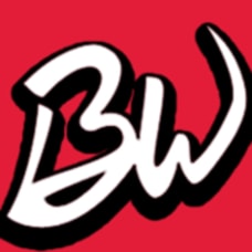 50% Off Baseball Warehouse Coupons & Promo Codes - November 2022