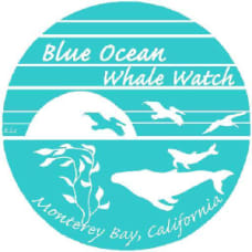 Blue Ocean Whale Watching On The Monterey Bay Coupons & Promo ...
