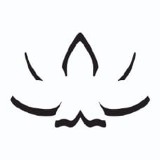 20% Off Beyond Yoga Coupons & Promo Codes - November 2022