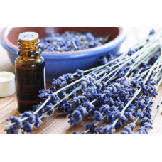 Voyageur Soap And Candle Company Coupons & Promo Codes ...