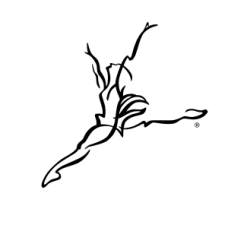 50% Off Capezio Coupons & Promo Codes - November 2022