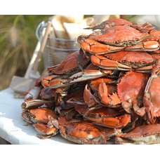 $10 Off The Crab Place Coupons, Promo Codes, March 2021 - Goodshop