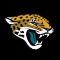 Jacksonville Jaguars Fan Shop