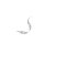 Giant Vapes