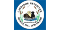 Labrador Retriever Rescue - LRR