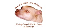 Nalas New life Rescue