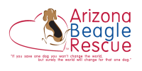 Arizona Beagle Rescue - AZBR