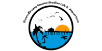 Oceanographic Teaching Stations - Roundhouse Marine Studies Lab and Aquarium
