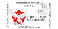 AIJO Nippon Kenpo Foundation (iForce Dojos)