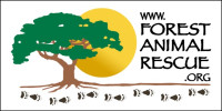 Forest Animal Rescue / Peace River Refuge and Ranch