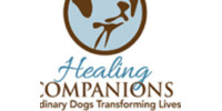 Healing Companions