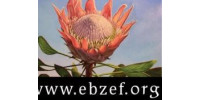 Elizabeth Bowers Zambia Education Fund