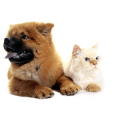 Pets Megastore Australia Coupons & Promo Codes - September 2022