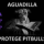 Aguadilla