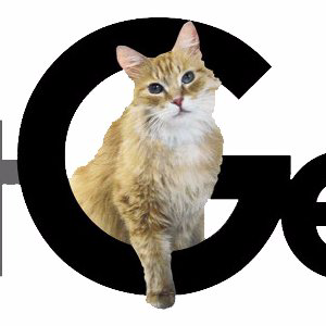 cat genie coupon code