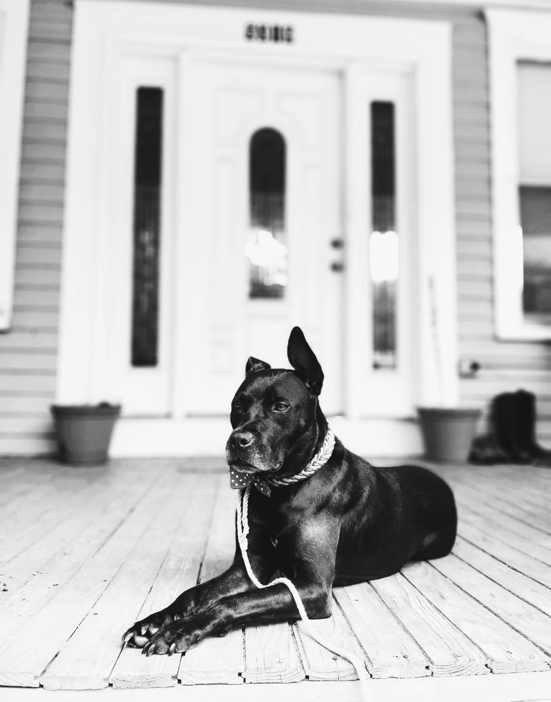 Remington Remington
