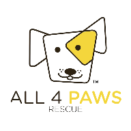 all 4 paws rescue 