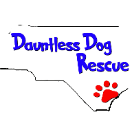 Dauntless Dog Rescue