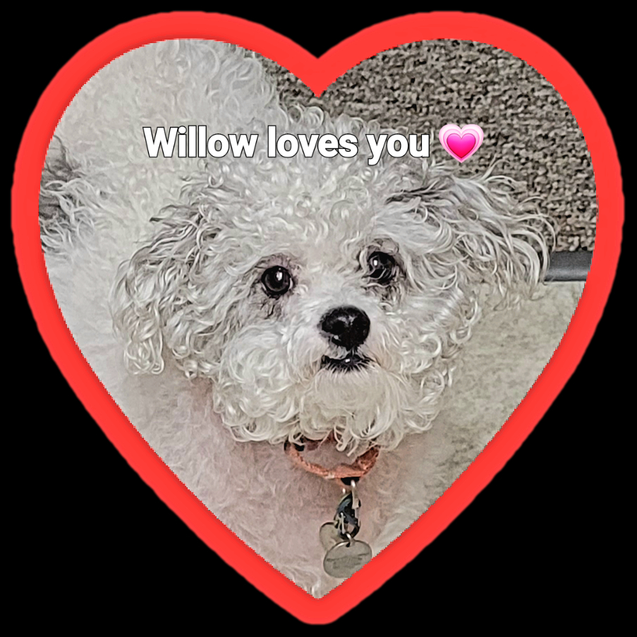 Willow