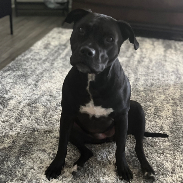 Nova