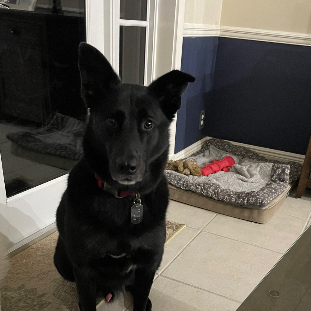 Vader
