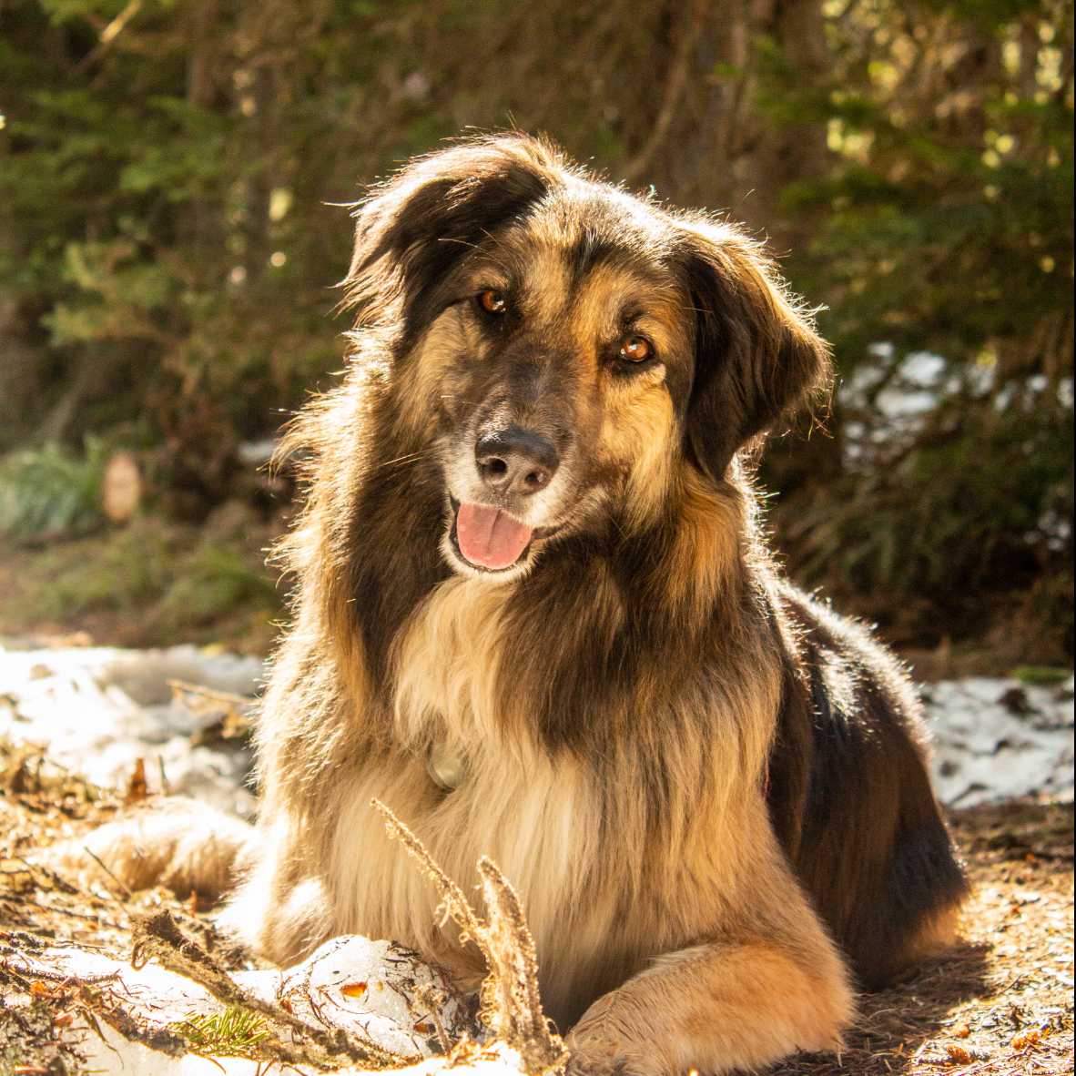 Lucy