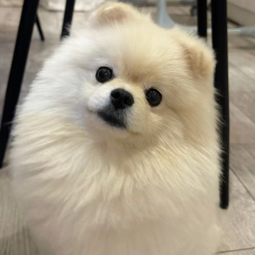 Astro