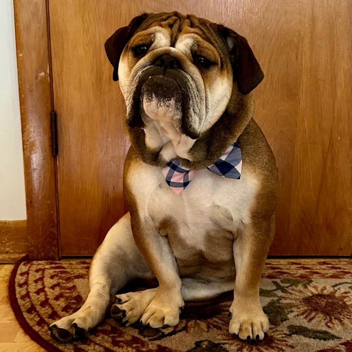 Penny