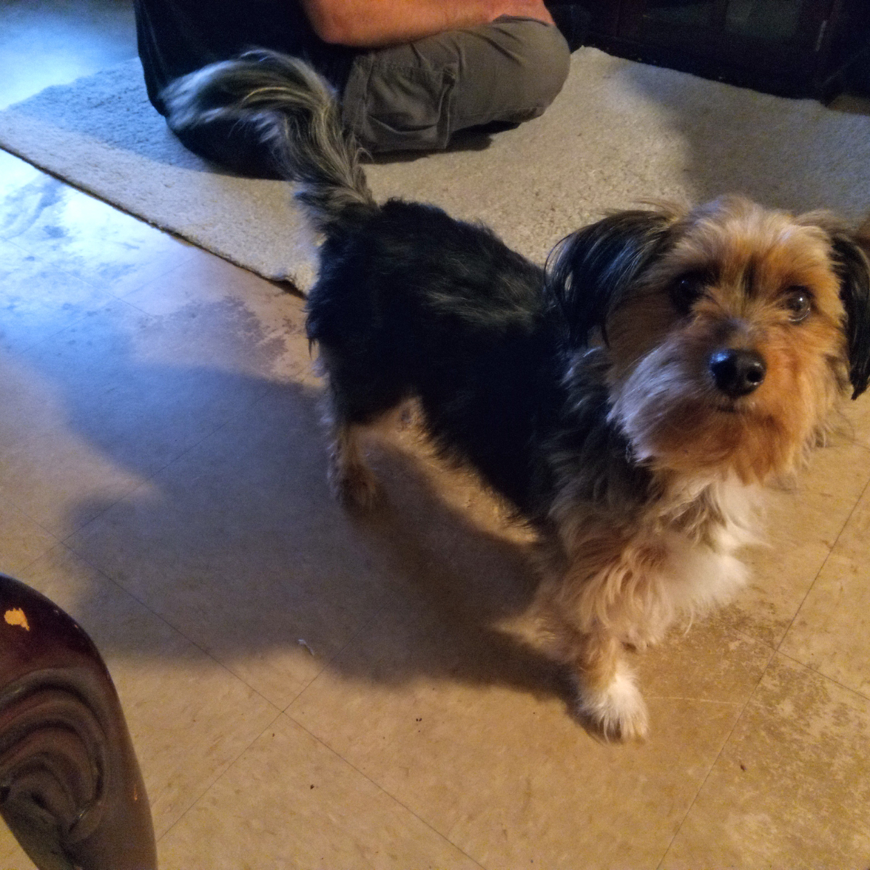 Pepper Lynn Shawna Mabe