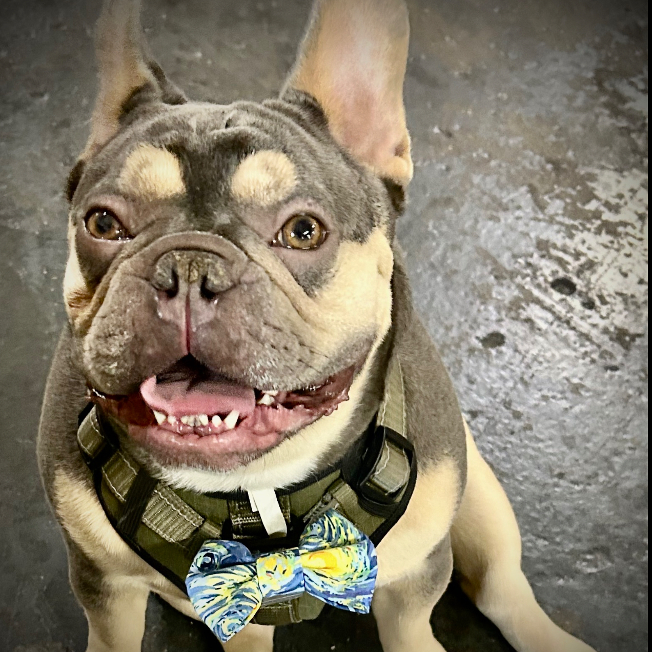 Tito